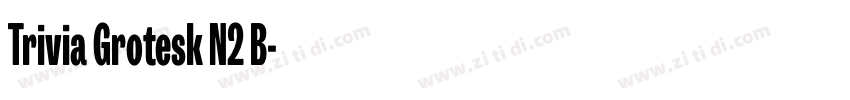 Trivia Grotesk N2 B字体转换 Trivia Grotesk N2 B字体转换